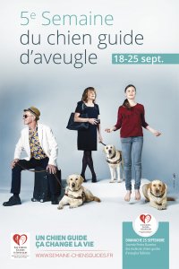 FFAC chiens guides - agence Cito 2016