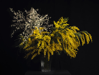 BOUQUET avec Genet